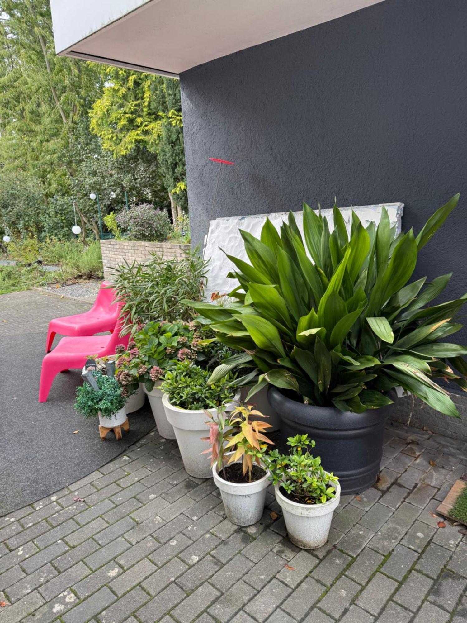 Modernes 1 Zimmerapartment Nahe Frankfurt Am Main Heusenstamm Kültér fotó